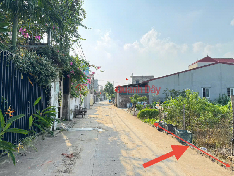 Selling a super nice plot of land in Ap Tre village, group 9, Quang Minh. 1 house away from the 20m wide road Sales Listings