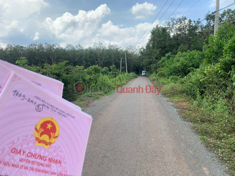 Property Search Vietnam | OneDay | Residential, Sales Listings, Need money Urgently SELL LAND LOT 3,518M2 RESIDENTIAL, SIDE IZ, National Highway, 300 MILLION