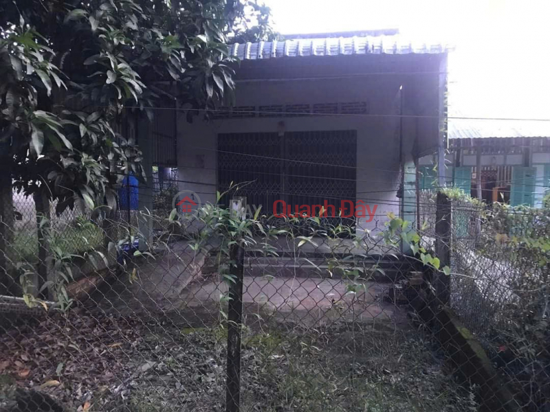 Owner needs to sell house and land in Hoa Long B hamlet, Kinh Cung town, Phung Hiep district, Hau Giang province. Sales Listings