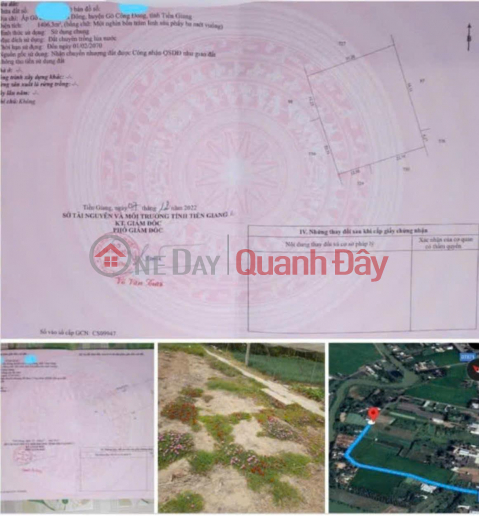 OWNER Needs to Quickly Sell Perennial Land in Tan Dong Commune, Go Cong Dong, Tien Giang _0