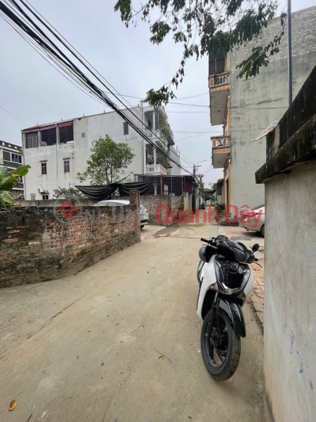 Property Search Vietnam | OneDay | Residential Sales Listings Owner land - Beautiful location in Dai Bi, Uy No 99m2, frontage 4.5m, road 5m