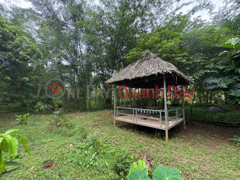 OWNER URGENTLY NEEDS TO SELL A Plot Of Garden Land In Xuan Que Commune, Cam My District, Dong Nai Province _0
