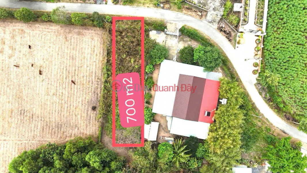 HURRY UP TO OWN A BEAUTIFUL LOT OF LAND, Area 700 m2, 40m2 Available Residential Land In Thai My Commune - Cu Chi District - Ho Chi Minh City Vietnam, Sales, đ 3.8 Billion