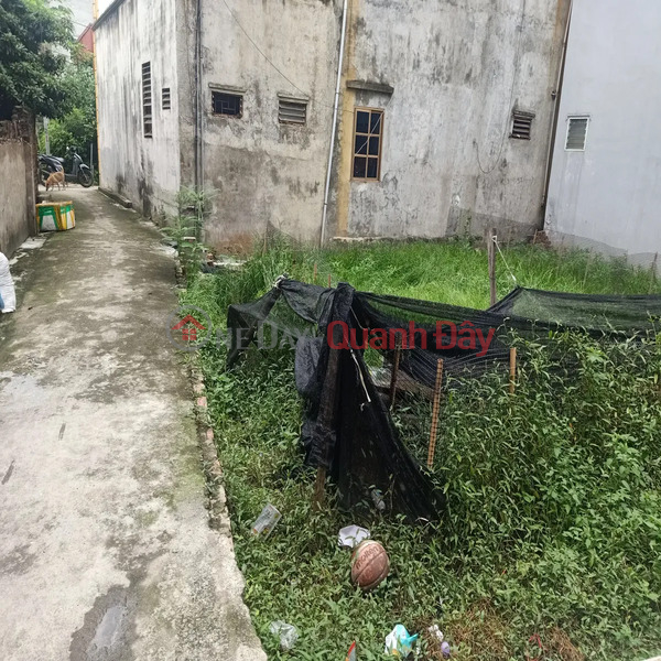 LAND for sale in Trung Kien - Bac Tu Liem 45m2 with car parking for only 3 billion Sales Listings