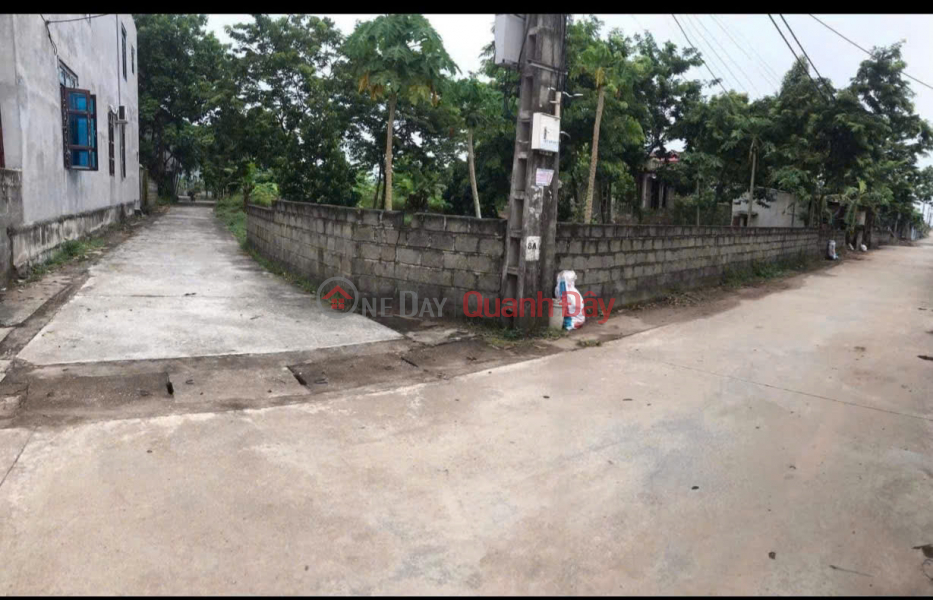 Property Search Vietnam | OneDay | Nhà ở, Niêm yết bán, ĐẤT ĐẸP - MẶT TIỀN - Bán GẤP Lô Đất Tiềm Năng Tại Thôn Phú Thanh, xã An Phú (cũ),Hà Nội