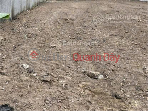 Agricultural land for rent for farming and livestock breeding in Pham Van Hai Commune, Binh Chanh District, Ho Chi Minh City. _0