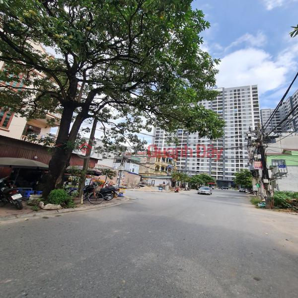 Over 9 billion for 60m2 of car bypass road at Agricultural Academy, Trau Quy, Gia Lam. Contact 0989894845 Sales Listings