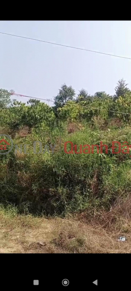 OWNER NEEDS TO SELL LOT OF LAND URGENTLY Ro Men, Dam Rong, Lam Dong Sales Listings