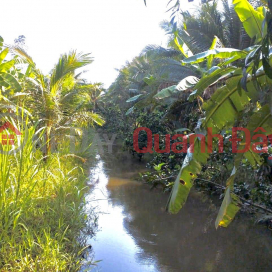Owner - NEED TO SELL QUICK LOT OF LAND Monthly Harvest Coconut Garden In Cang Long, Tra Vinh _0