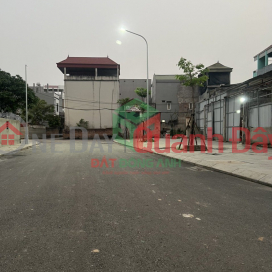 Land for sale in Tuan Le Tien Duong Dong Anh - Asphalt road for cars - price only 3 billion _0