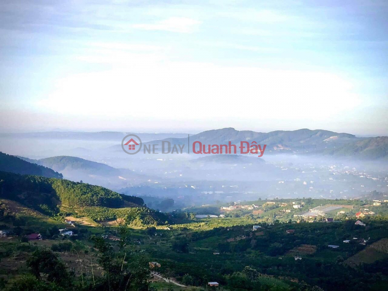 BEAUTIFUL LAND - GOOD PRICE - OWNER 5000m2 Land Lot For Sale In Dong Thanh, Lam Ha Sales Listings