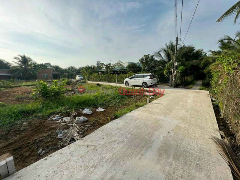 GENERAL FOR SALE Urgently Beautiful Land Lot in Long An Commune, Chau Thanh District, Tien Giang Sales Listings