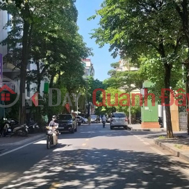 Bán mặt phố ngã tư Trần Quang Diệu, Đống Đa, 100m2, MT6.1m giá 36 tỷ _0