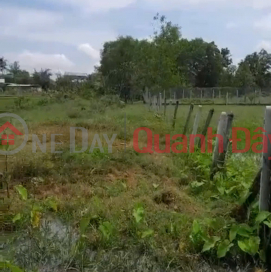 Beautiful land - good price, owner needs to quickly sell land plot located in Go Dau district, Tay Ninh province _0