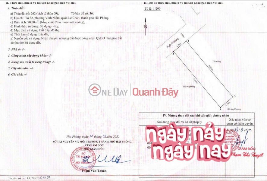 Land for sale at alley 46 Khuc Thua Du 2 - 90m² - 4.5m frontage - car access alley - price 5 billion VND, Vietnam, Sales | đ 5 Billion