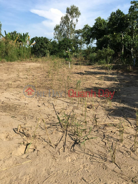Land plot for sale by owner, prime location at group 15, Hoa Dan hamlet, Nhi My commune, Cao Lanh District - Dong Thap, Vietnam, Sales ₫ 1.2 Billion