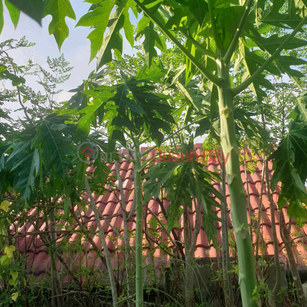 Property Search Vietnam | OneDay | Nhà ở | Niêm yết cho thuê Nhà cho thuê nguyên căn 01 trệt 02 lầu trong hẻm tại Biên Hòa, Đồng Nai.