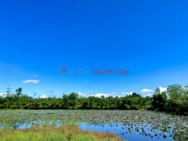 Land near Dam Sen, Dien Tien commune, 113m2, price only 520 million, book available Sales Listings