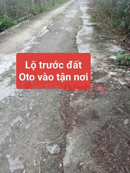 Property Search Vietnam | OneDay | Residential Sales Listings, Get an immediate discount of 100 million VND - Own a beautiful fruit orchard now - An Binh Commune, Vinh Long - Existing residential area