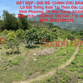 BEAUTIFUL LAND - CHEAP PRICE - OWNER QUICKLY SELLS Plot of Land for Growing Mangoes in Vinh Phuong, Nha Trang, Khanh Hoa _0