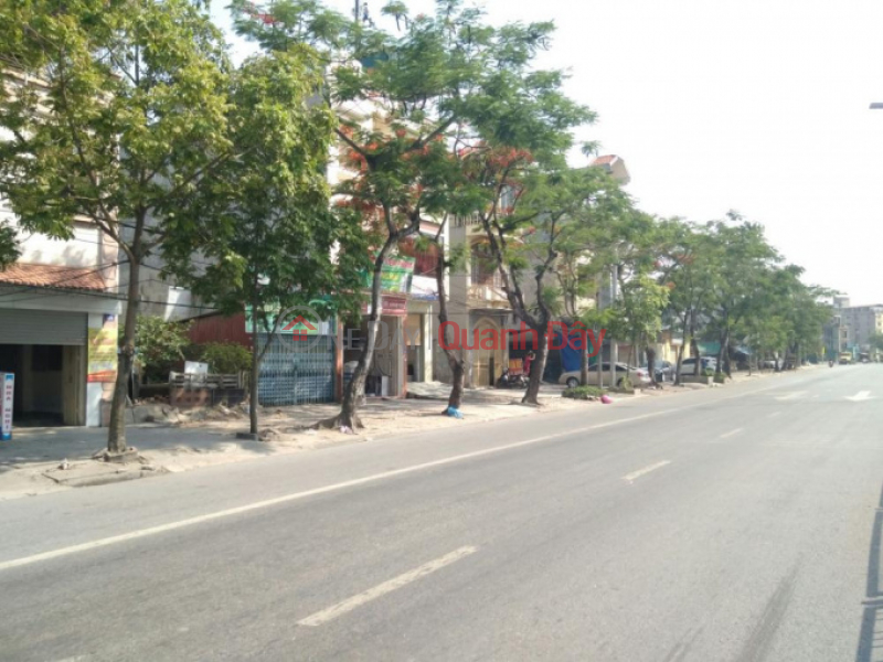 Selling 240m2 with 12m frontage on Nguyen Binh Khiem street, extremely beautiful Sales Listings