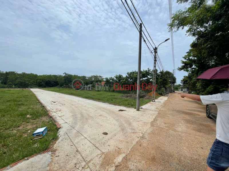 Hanoi land over 115m² for only over 700 million Sales Listings