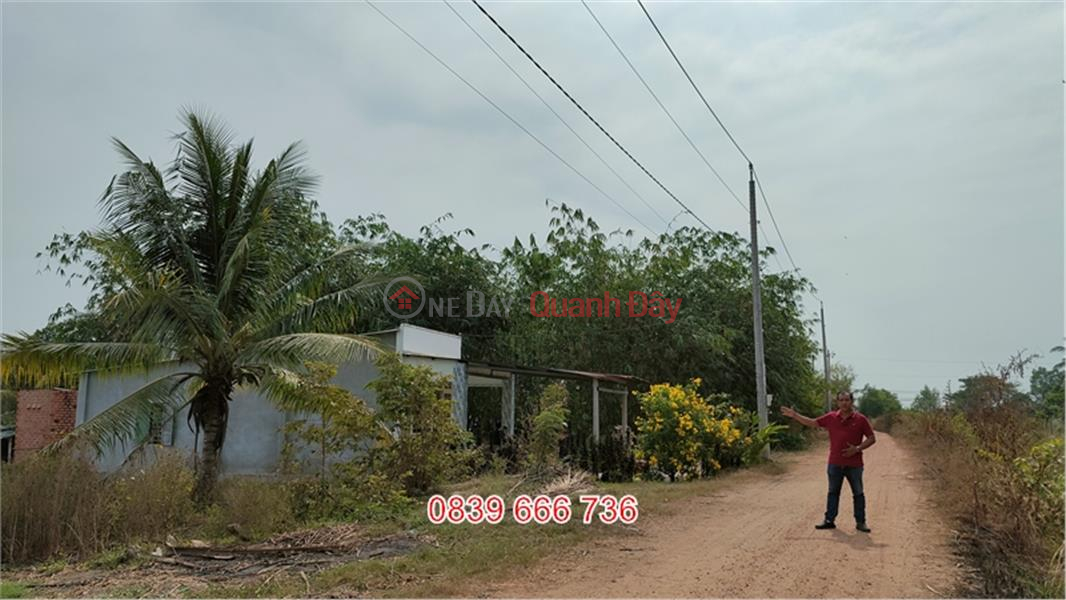 Property Search Vietnam | OneDay | Nhà ở Niêm yết bán Mở Bán Độc Quyền: Diện Tích 28x44 - Đất Vườn Ưu Việt!