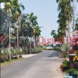 House and land for sale in Sa Dec Flower Village - Tran Khanh Du Street, 10m frontage, price 2.8 billion VND. _0