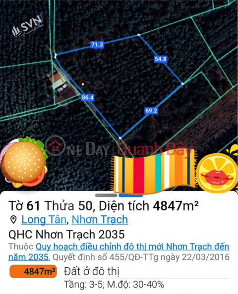 CHUYỂN NHƯỢNG ĐẤT TRỒNG CÂY LÂU NĂM QUY HOẠCH LÊN ĐÔ THỊ - SỞ GIÁO DỤC TẠI LONG TÂN - NHƠN TRẠCH _0