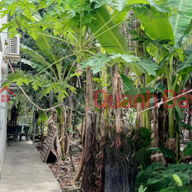 HOT HOT FOR SALE LEVEL 4 HOUSE FRONT OF SONG DAU RIVER ROAD - DIAN AN - DIAN KHANH _0