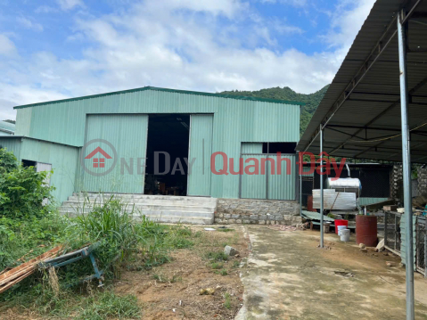 OWNER SELLS WHOLESALE WAREHOUSE Frontage of TL3 asphalt road (66m),Suoi Tan, Khanh Hoa _0