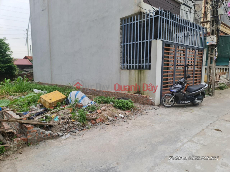 Property Search Vietnam | OneDay | Residential, Sales Listings | BEAUTIFUL LAND - THE OWNER NEEDS TO SELL "THE VILLAGE COVER" LOT OF LAND at Nhi Village, Van Noi Commune, Dong Anh, Hanoi