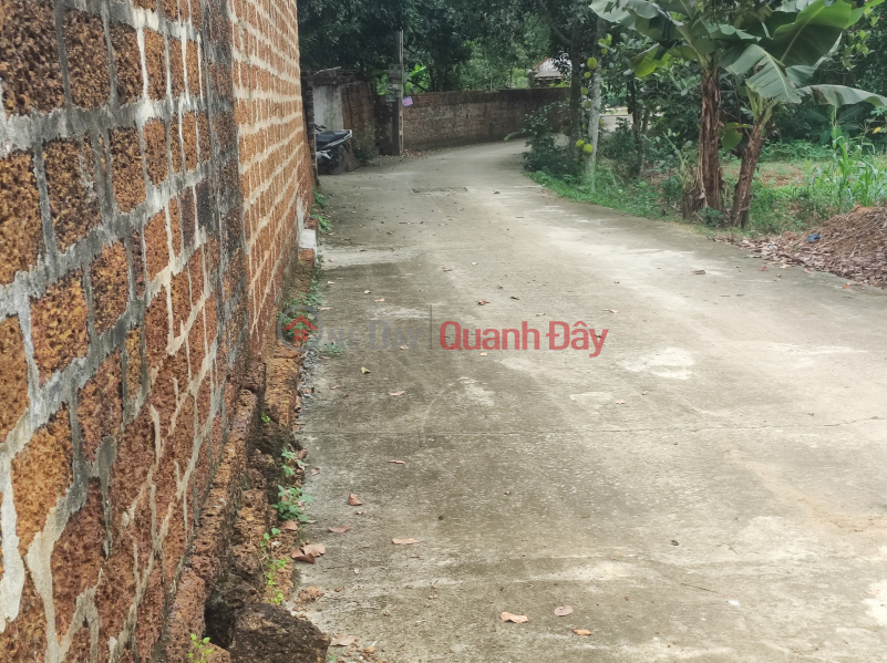 Property Search Vietnam | OneDay | Residential | Sales Listings, 62m behind Binh Yen Commune People's Committee. ONLY 1.2 BILLION. 2 sides of car road