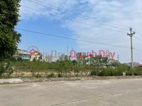 BEAUTIFUL LAND - GOOD PRICE - Urgent Sale Resettlement Plot Beautiful Location In Tan Lap Commune, Vu Thu District, Thai Binh _0