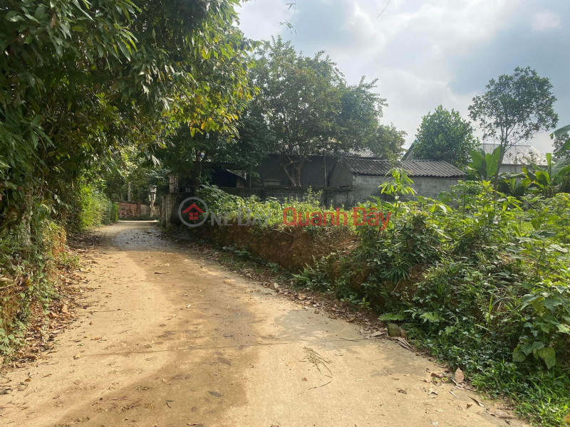 The owner needs money to sell a plot of land with an area of 914m2 at a loss for just over 2 billion, Address Van Hoa, Ba Vi, Hanoi Contact Vietnam | Sales ₫ 2.8 Billion