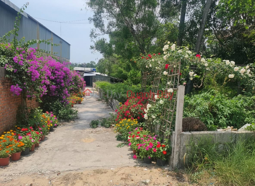 Đắt Phú Quốc giá đầu tư, giao dịch trực tiếp với chính chủ Niêm yết bán