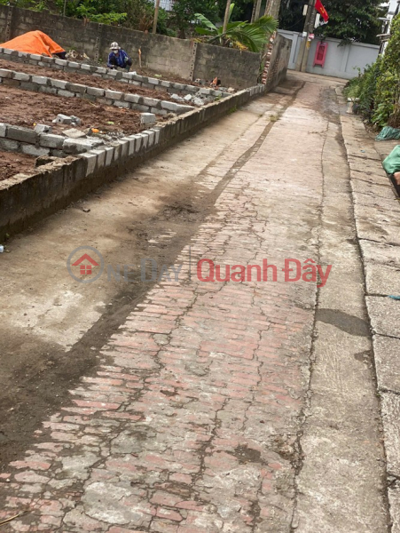 Property Search Vietnam | OneDay | Nhà ở Niêm yết bán | Mở bán 4 lô đất đẹp F0 Quang Lãng, Phú Xuyên - Diện tích 80m2, giá chỉ nhỉnh 2 tỷ, full tiện ích