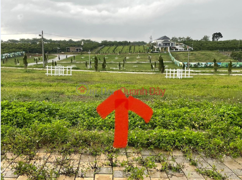 OWN A LOT OF RESORT LAND NOW IN Bao Loc City Center - Lam Dong | Vietnam, Sales ₫ 1.9 Billion