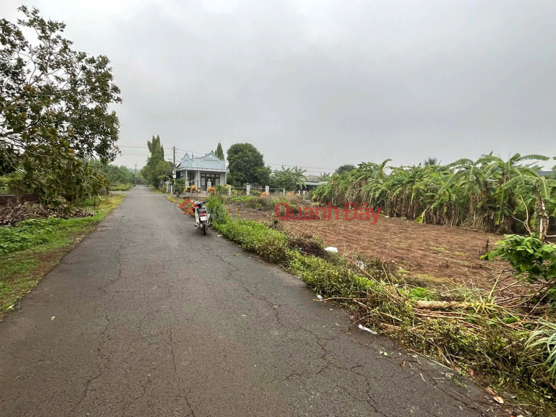 PRIME LAND – GOOD PRICE – OWNER SELLING LAND in Song Nhan Commune – Cam My District – Dong Nai Province | Vietnam Sales đ 2.55 Billion