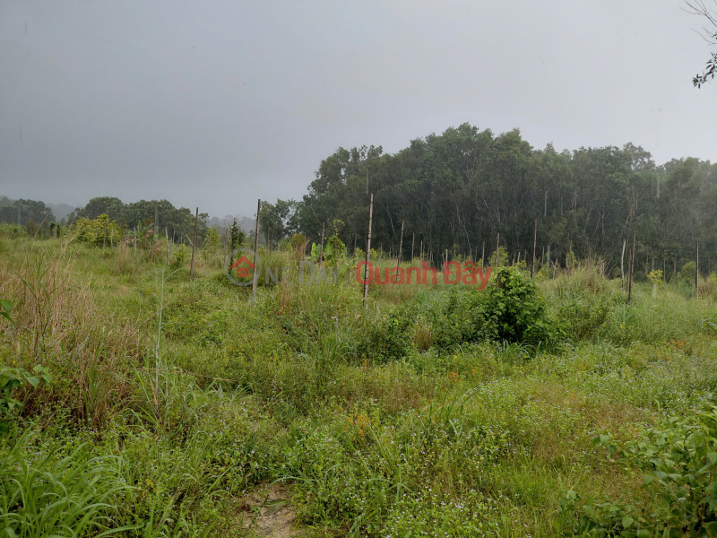 Property Search Vietnam | OneDay | Residential | Sales Listings | GREAT PRICE FOR INVESTORS - Opportunity to Own a Beautiful Plot of Land in a Prime Location in Phu Quoc, Kien Giang