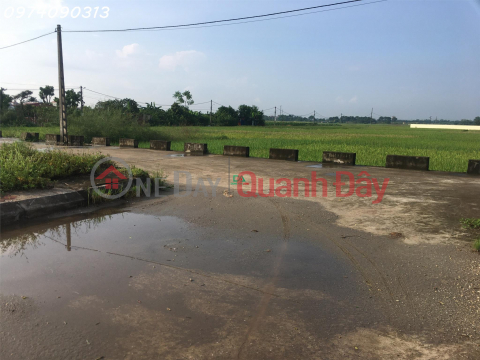 Land for sale at Xuan Canh Dong Anh auction near Vinhomes Co Loa project DONGANHLAND _0