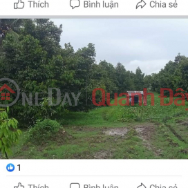 I am the OWNER for sale of Durian Farming Land at Truong Thanh A Hamlet, Truong Thanh Commune, Thoi Lai, Can Tho _0