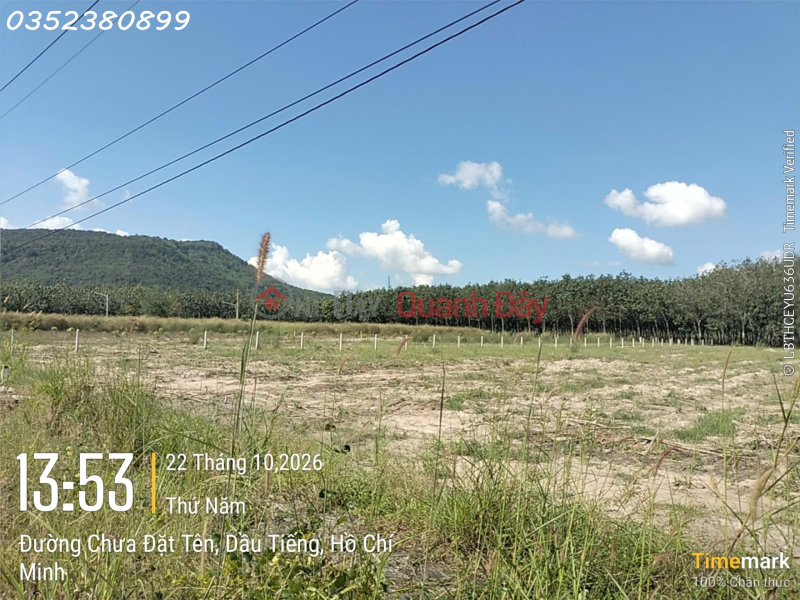 Hàng hiếm tại Ấp Núi Cậu, ĐT 744, Dầu Tiếng, DT 262 m2, giá 2,7 tỷ Việt Nam, Bán, đ 2,7 tỷ