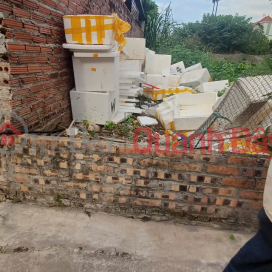Cực hiếm 60m đất Tráng Việt, Mê Linh. Lô góc, 2 mặt tiền. Gần ngay chân cầu Thượng Cát _0