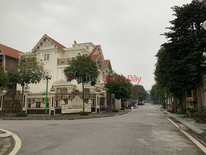 Property Search Vietnam | OneDay | Residential | Sales Listings | The owner sells the villa 220m2 in the southwestern urban area of Ho Linh Dam - Hoang Mai - garden view