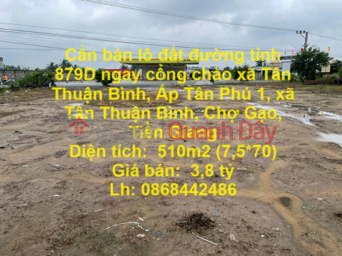 Need to sell land lot on provincial road 879D right at the welcome gate of Tan Thuan Binh commune, Cho Gao, Tien Giang _0