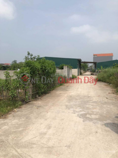 Property Search Vietnam | OneDay | Residential | Sales Listings Selling 110m2 of land in Tan Dan commune, Phu Xuyen district, potential for investment.