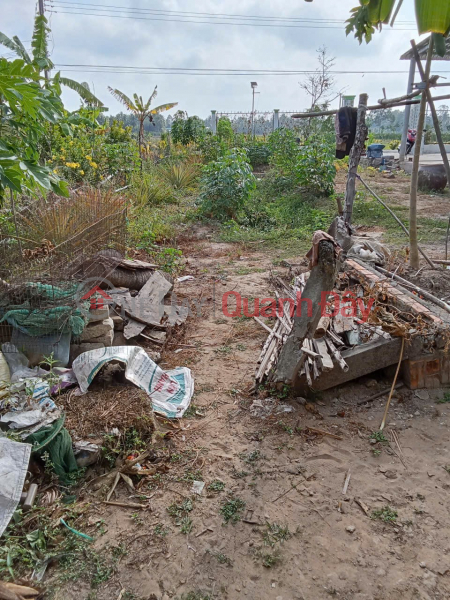 đ 320 triệu, ĐẤT ĐẸP – GIÁ TỐT – CHÍNH CHỦ CẦN BÁN TẠI 2589, Đường Ba Chùa, Xã Trà Côn, Huyện Trà Ôn, Vĩnh Long