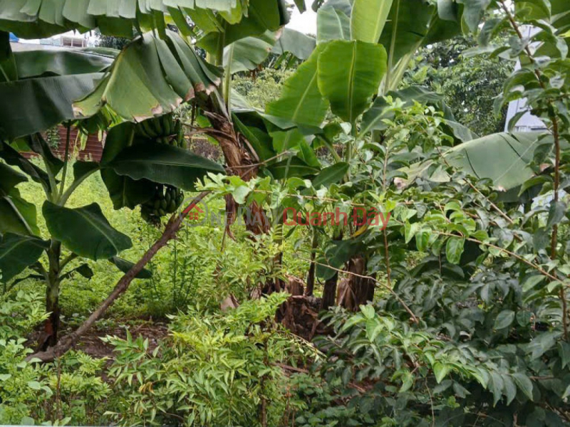 Giảm 50tr! Đất Vuông đẹp Hẻm Ôtô 89m2 – Thạnh Lộc 29 Q12 Niêm yết bán