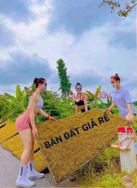 MẢNH ĐẤT VÀNG GIỮA LÀNG ĐÀO XUYÊN 57m2 CHỈ 3,9 TỶ 
Giá đầu tư cực ngọt – Xuống tiền là có lãi ngay! _0